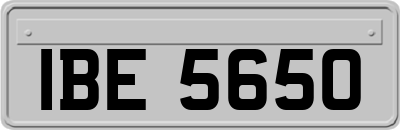 IBE5650