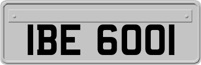 IBE6001