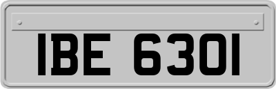 IBE6301