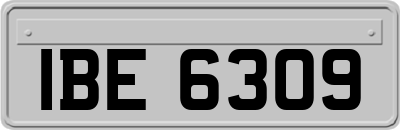 IBE6309