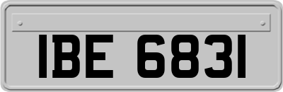 IBE6831