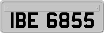 IBE6855