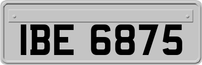 IBE6875