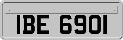 IBE6901