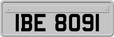 IBE8091