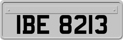 IBE8213