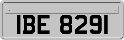 IBE8291