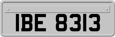 IBE8313