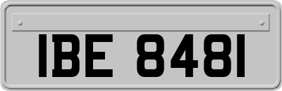 IBE8481