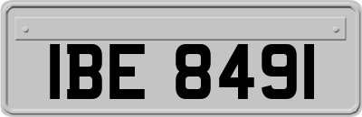 IBE8491