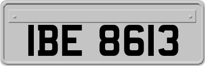 IBE8613