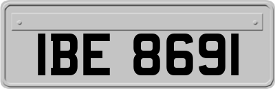 IBE8691