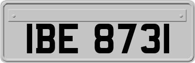 IBE8731