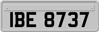 IBE8737