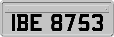 IBE8753