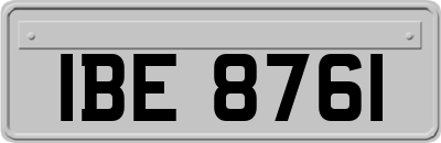 IBE8761