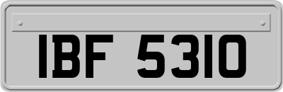 IBF5310