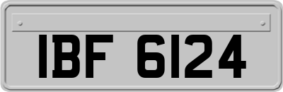 IBF6124