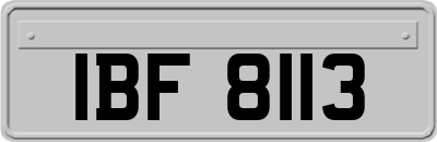 IBF8113