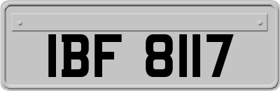 IBF8117