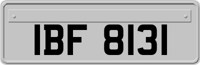 IBF8131