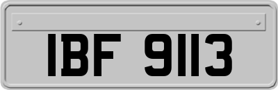 IBF9113