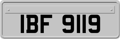 IBF9119