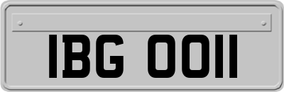 IBG0011