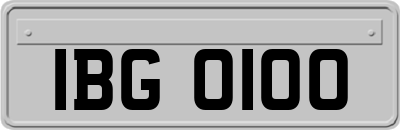 IBG0100