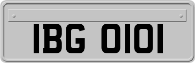 IBG0101