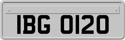 IBG0120