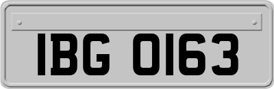 IBG0163