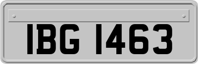 IBG1463