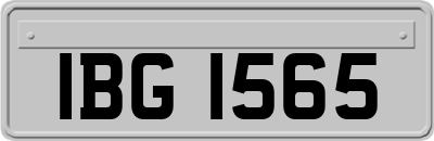 IBG1565