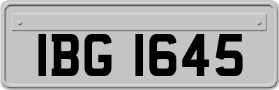 IBG1645