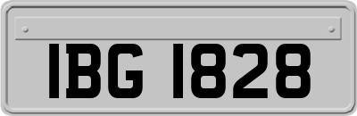 IBG1828