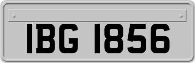 IBG1856