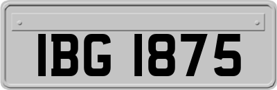 IBG1875