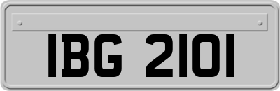 IBG2101