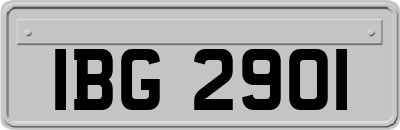 IBG2901