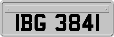 IBG3841