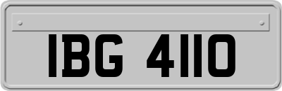 IBG4110