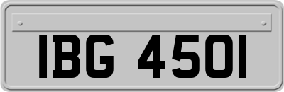 IBG4501