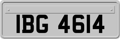 IBG4614