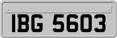 IBG5603