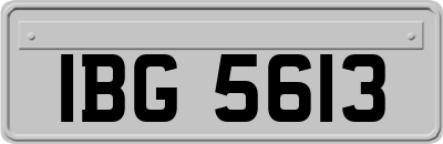 IBG5613