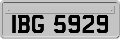 IBG5929