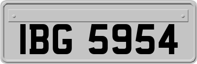 IBG5954