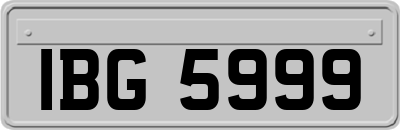 IBG5999