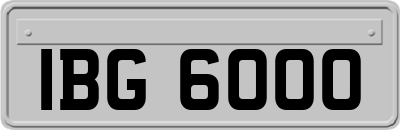 IBG6000